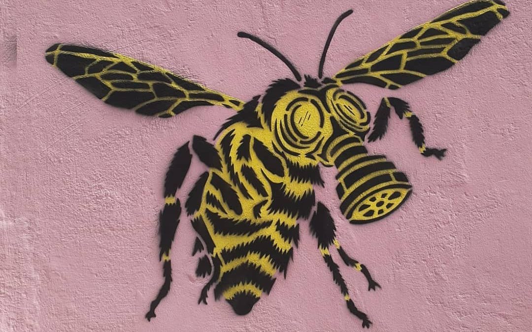 Design Ativista, Xepa e Greenpeace divulgam narrativas visuais em campanha contra agrotóxicos