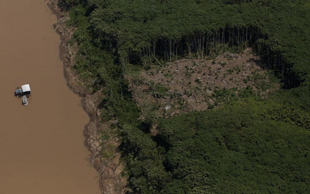 Oficina criativa construirá campanha contra legalização do roubo de terras públicas